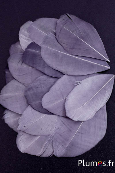 Pétales en plumes - 6-8 x 3-4 cm - anthracite